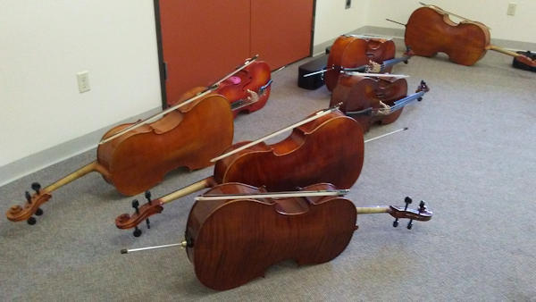 cellos at camp